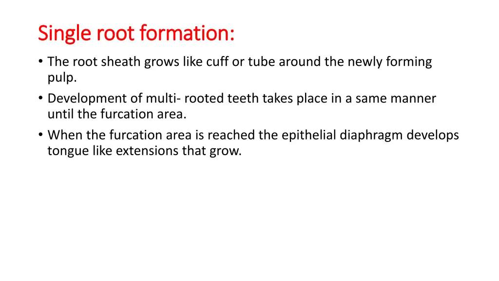 single root formation single root formation