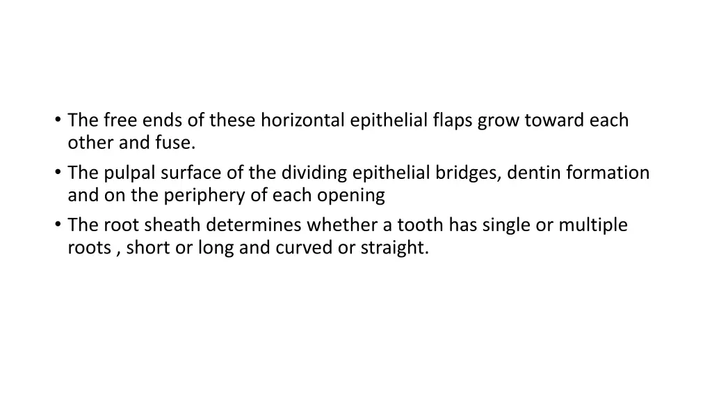 the free ends of these horizontal epithelial