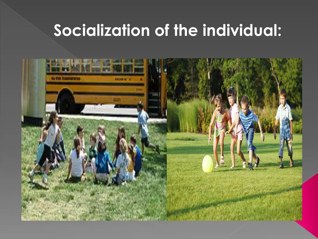 socialization of the individual