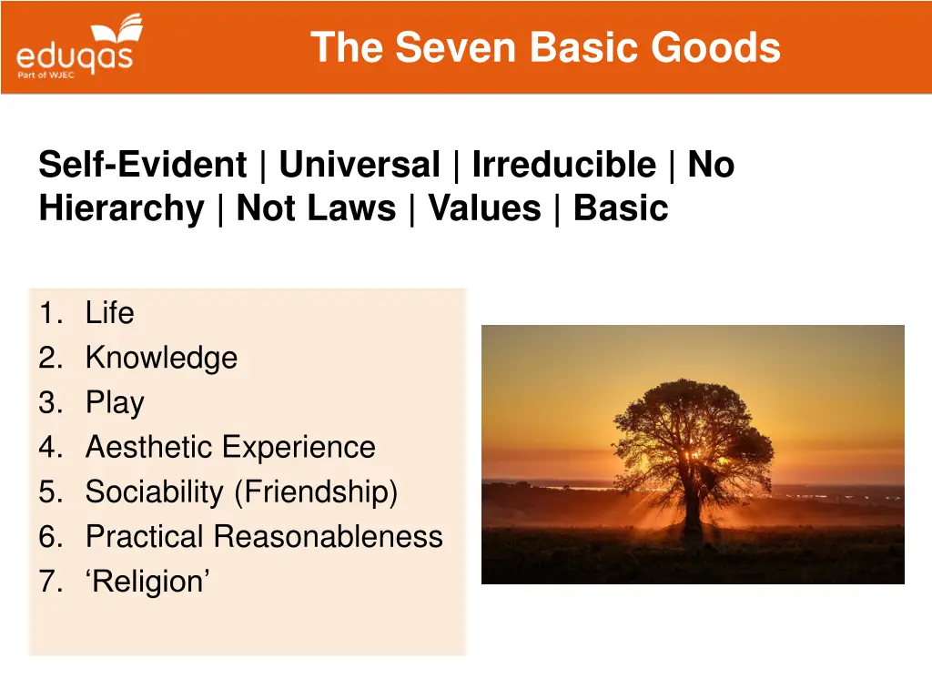 the seven basic goods