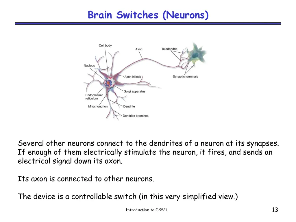 brain switches neurons