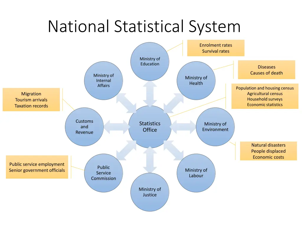 national statistical system