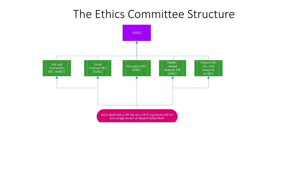 the ethics committee structure