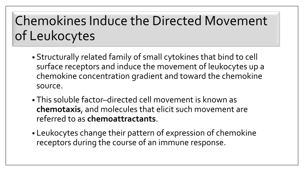 chemokines induce the directed movement