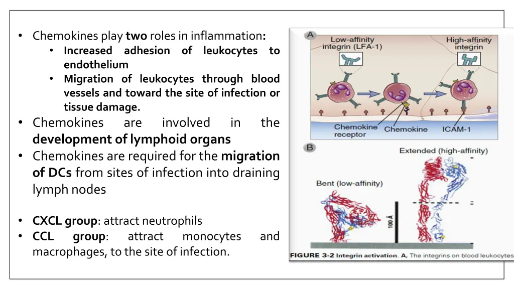 chemokines play two roles in inflammation