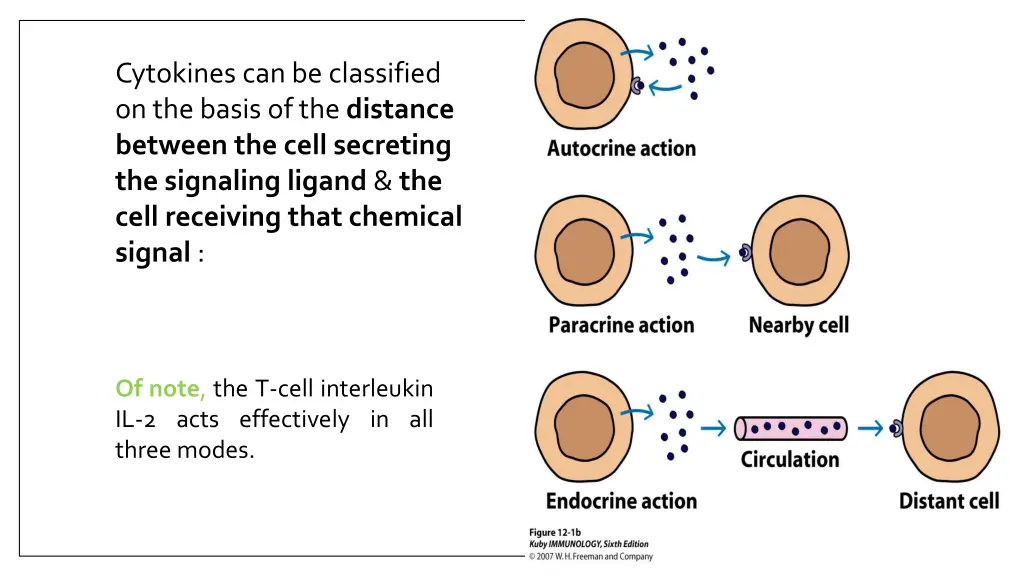 cytokines can be classified on the basis