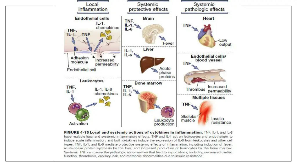 slide31