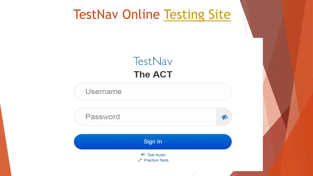 testnav online testing site