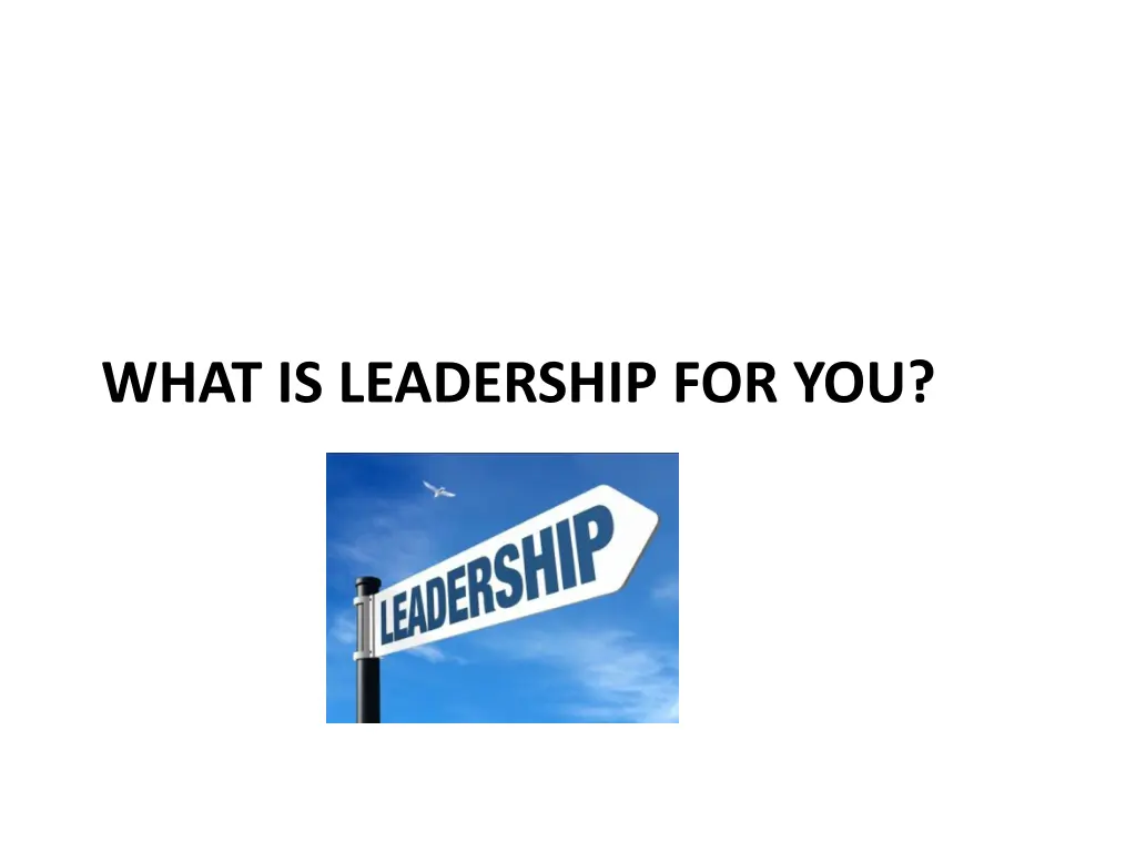 what is leadership for you