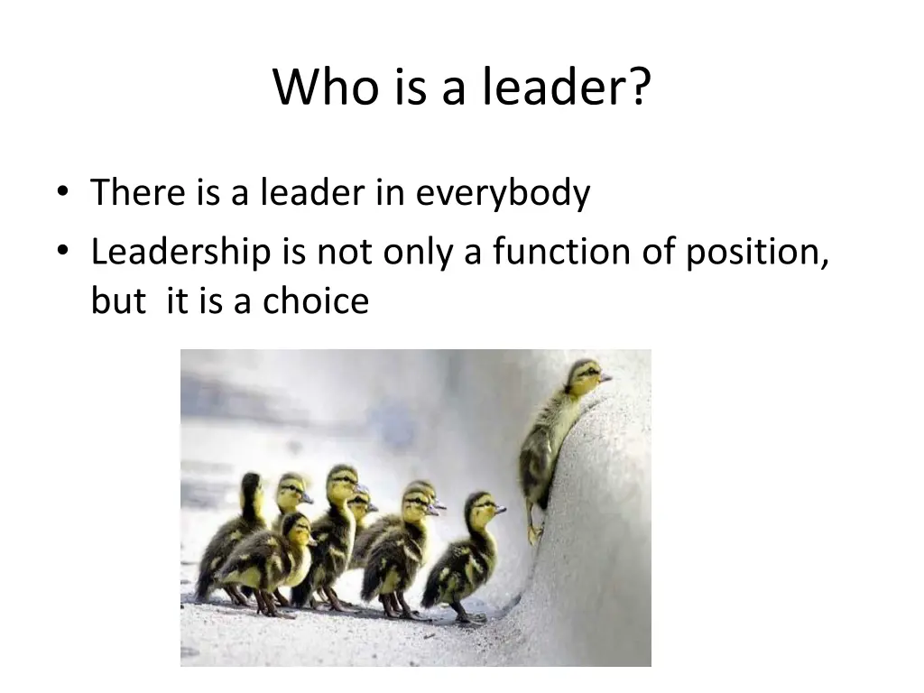 who is a leader