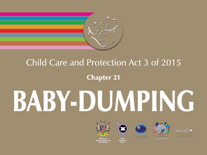 child care and protection act 3 of 2015