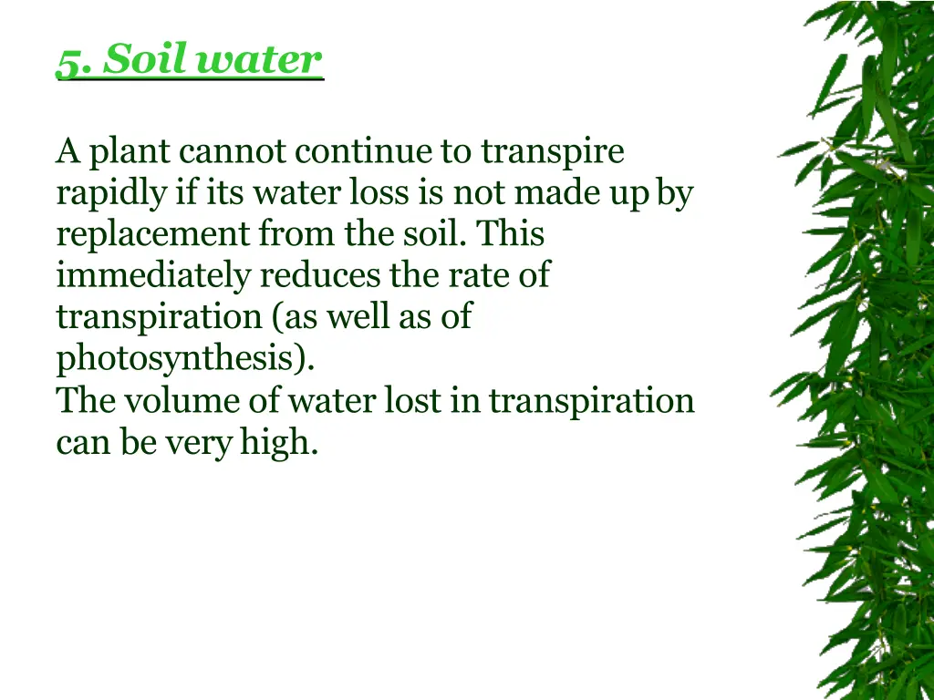 5 soil water