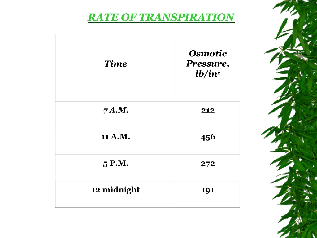 rate oftranspiration