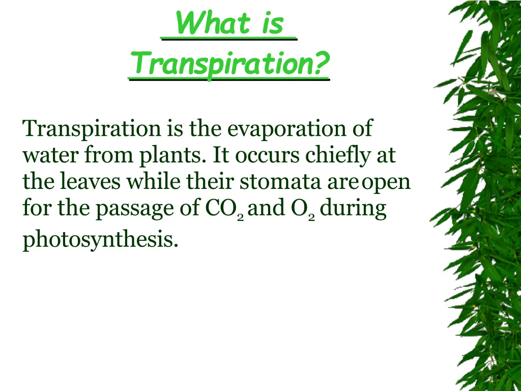 what is transpiration