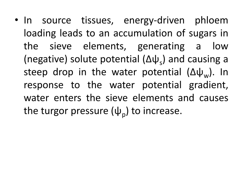 in source tissues energy driven phloem loading