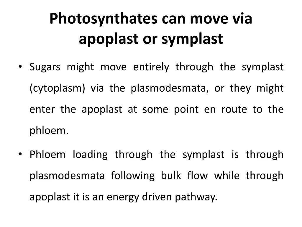 photosynthates can move via apoplast or symplast