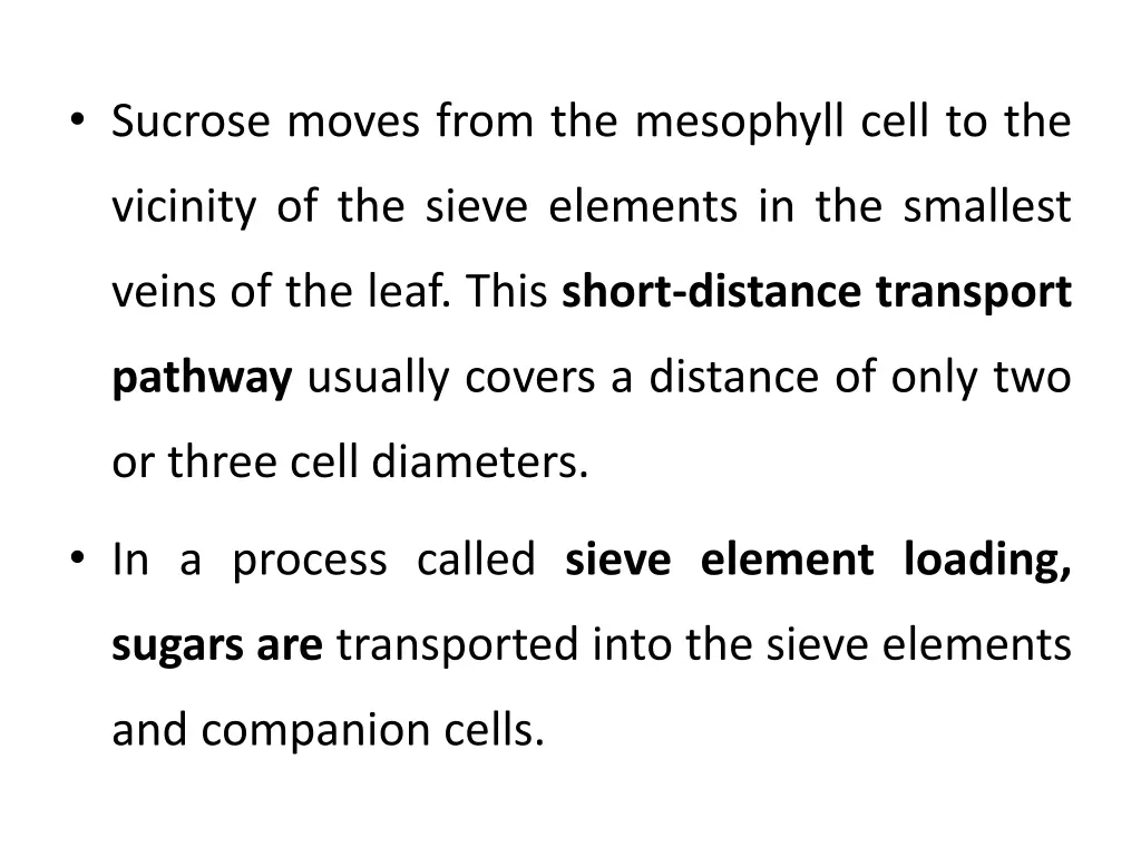 sucrose moves from the mesophyll cell to the