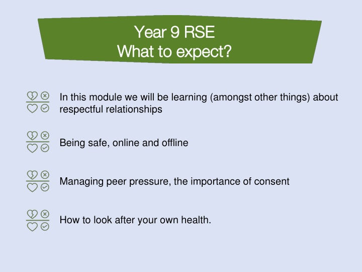 year 9 rse year 9 rse what to expect what