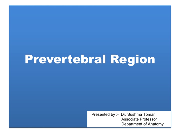 prevertebral region