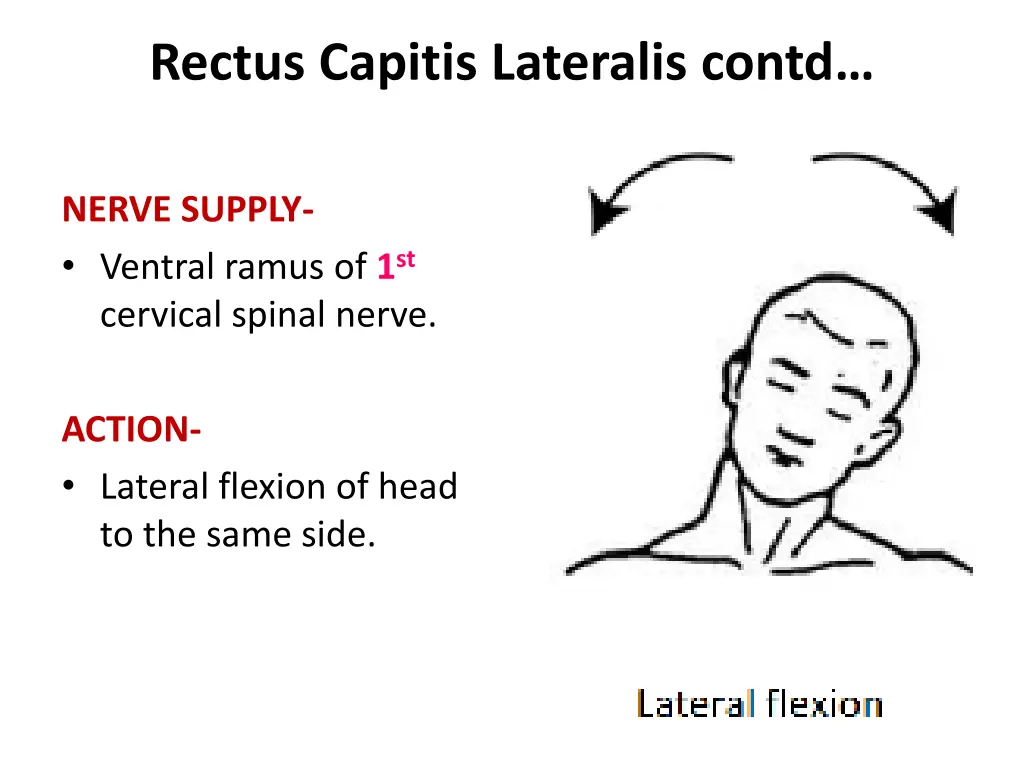 rectus capitis lateralis contd