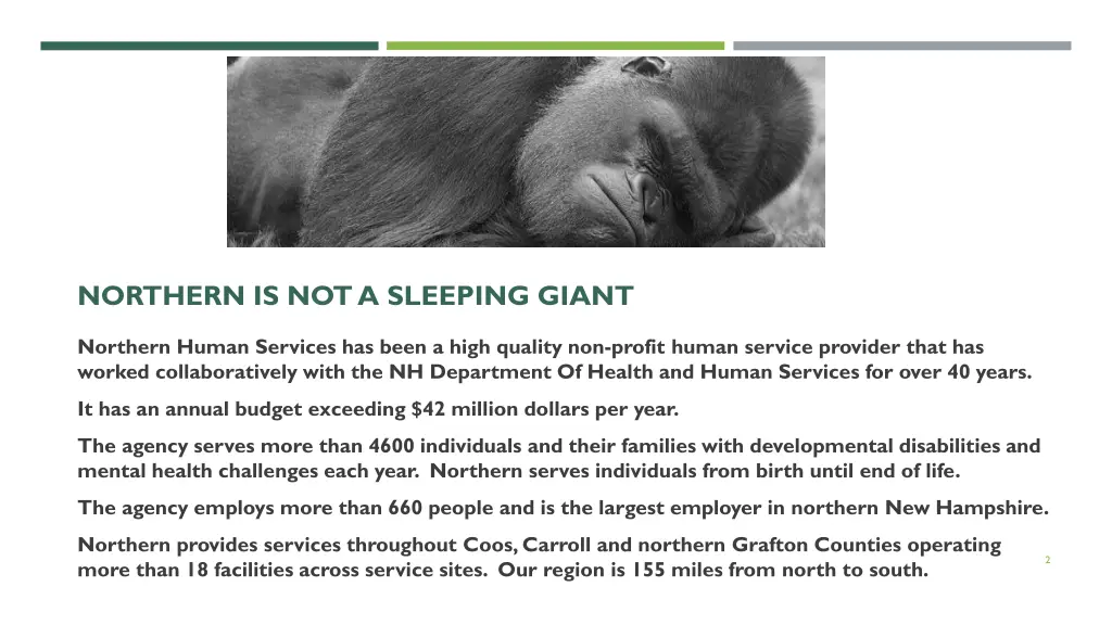 northern is not a sleeping giant