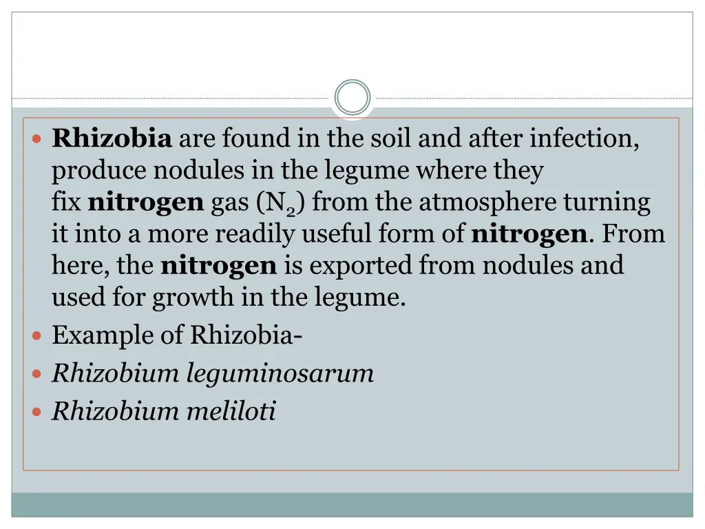 rhizobia are found in the soil and after