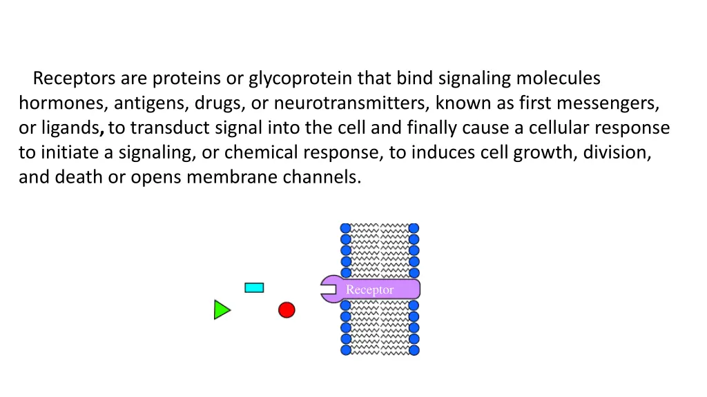 receptors are proteins or glycoprotein that bind