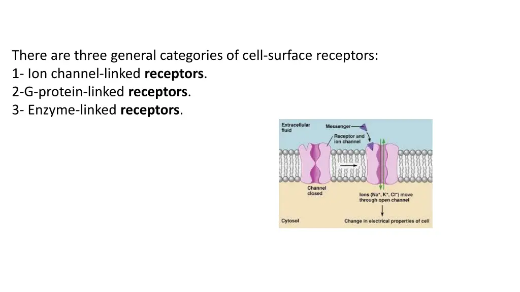 there are three general categories of cell