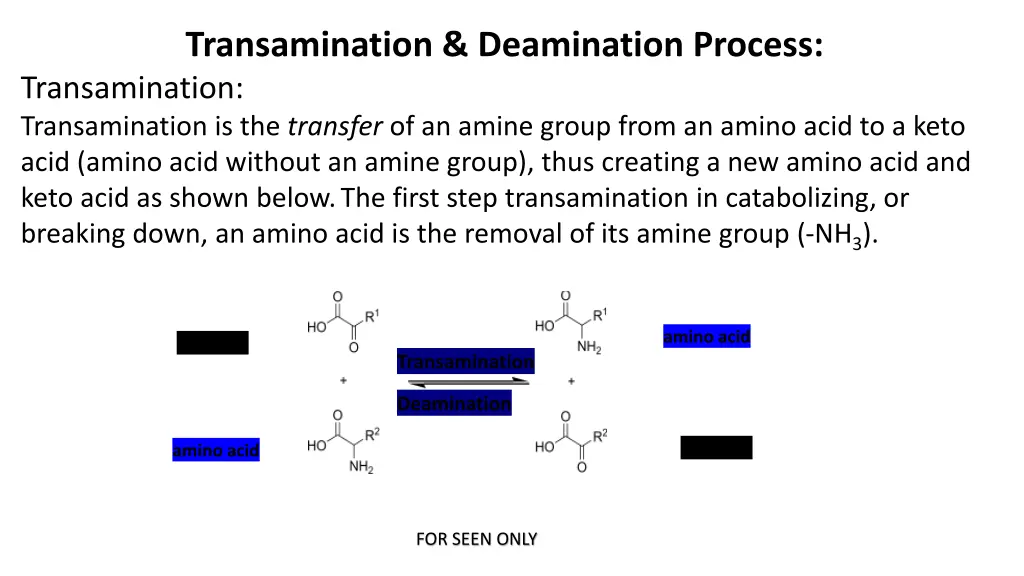 transamination deamination process transamination