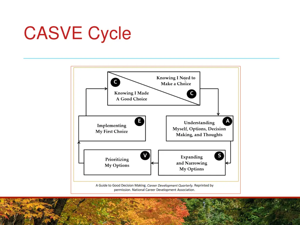 casve cycle