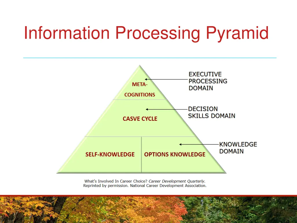 information processing pyramid