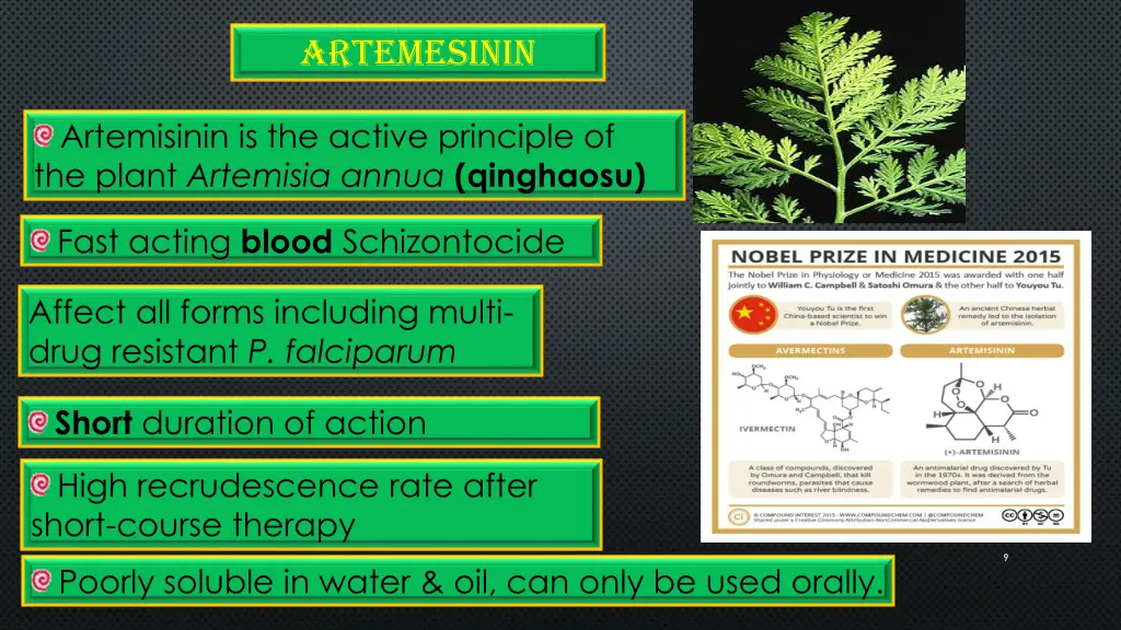 annual wormwood for antimalarial drug