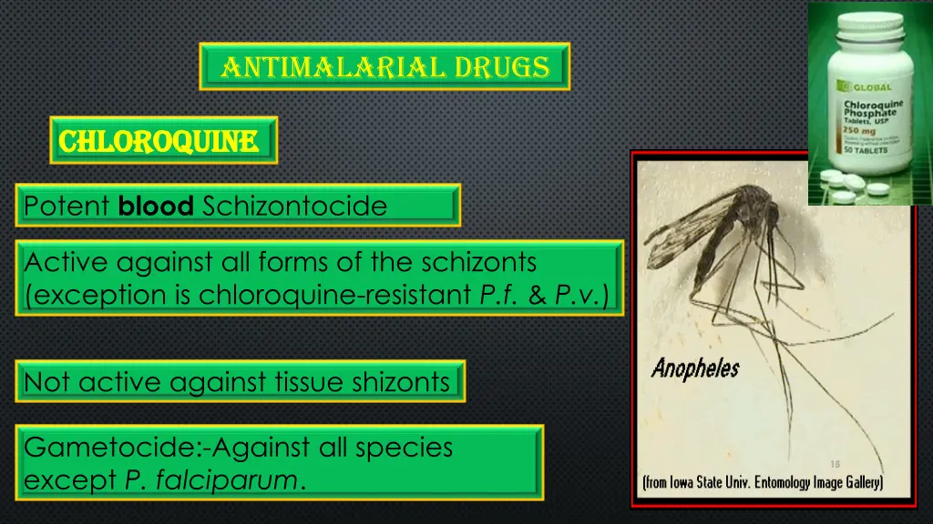 antimalarial drugs 3