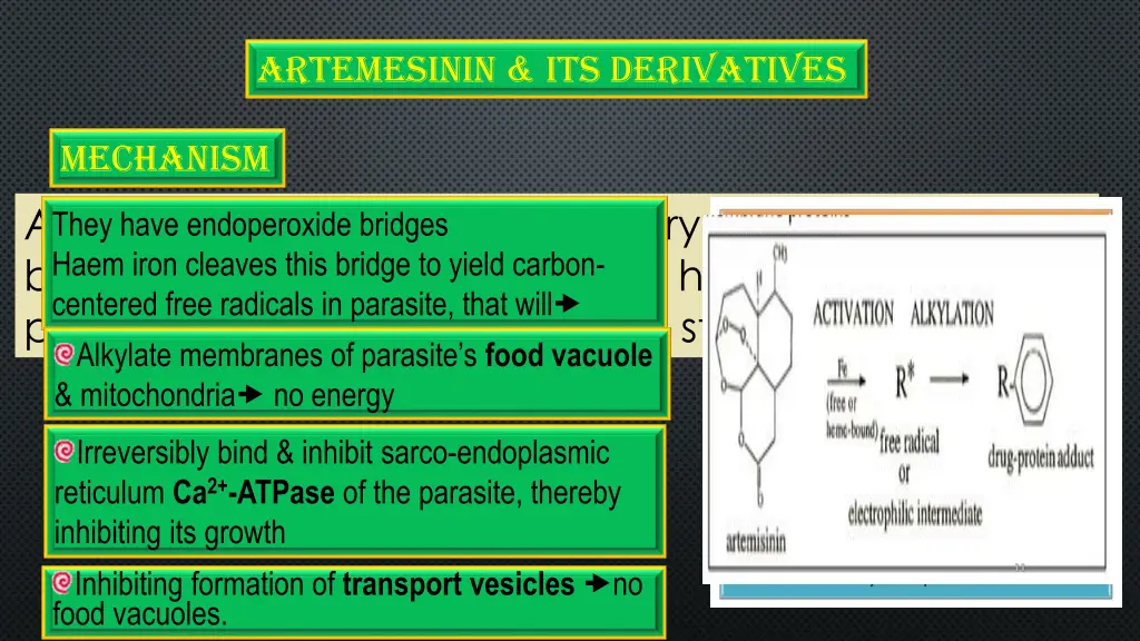 artemesinin its derivatives