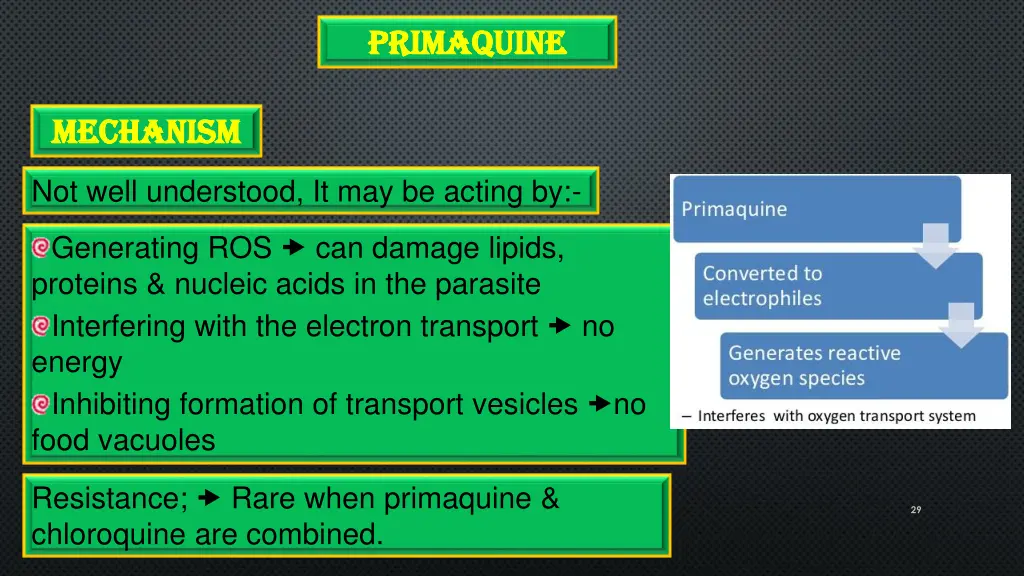 primaquine primaquine 1