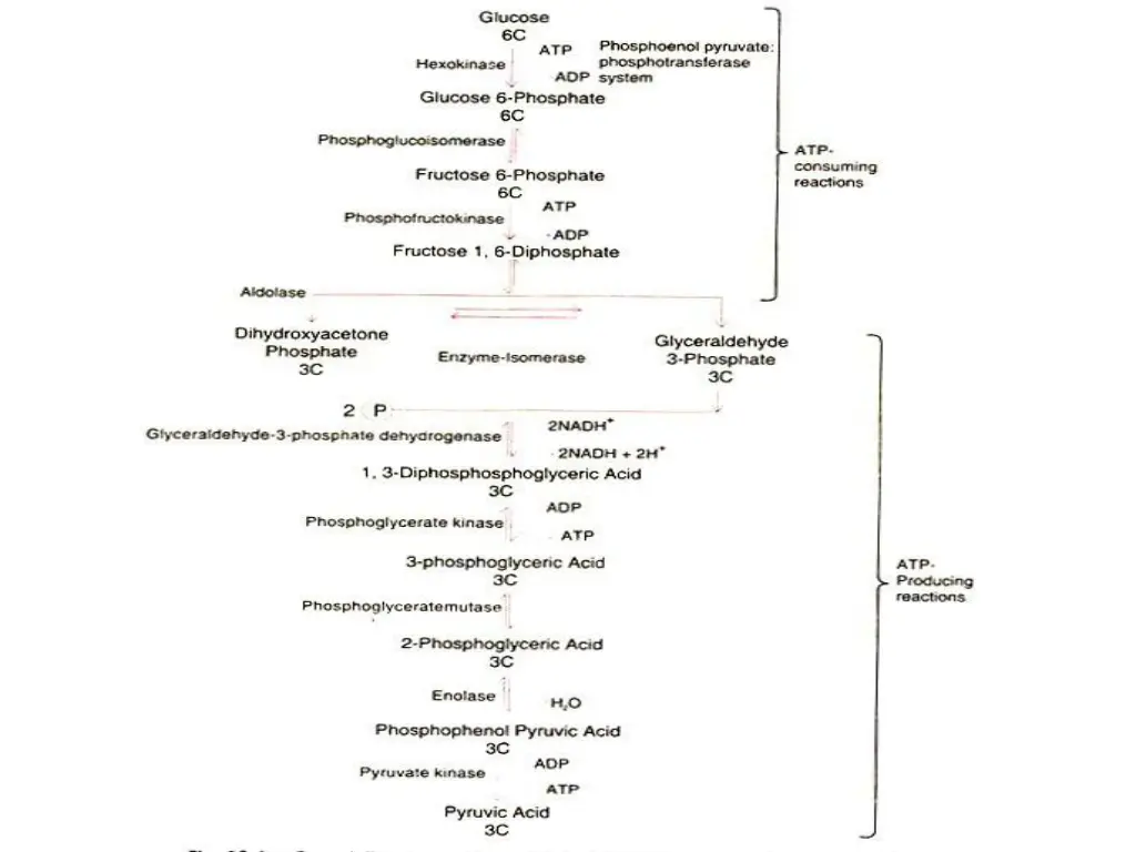 slide14