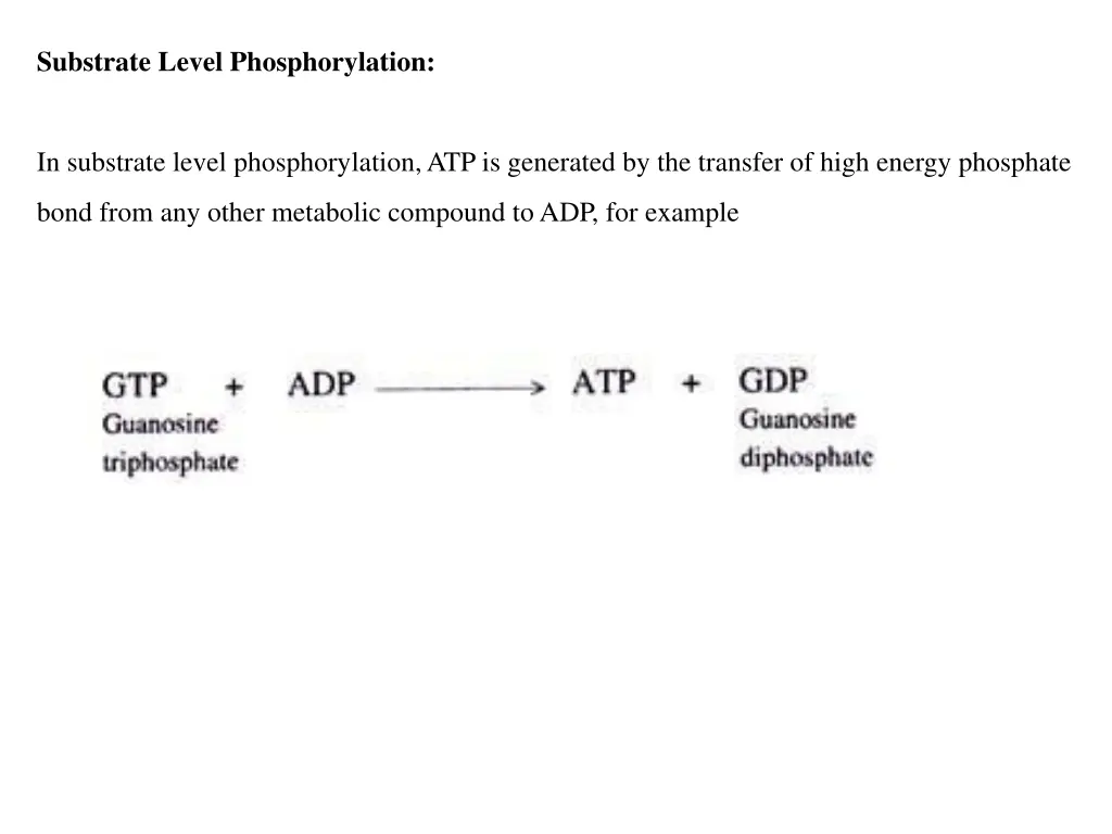 substrate level phosphorylation