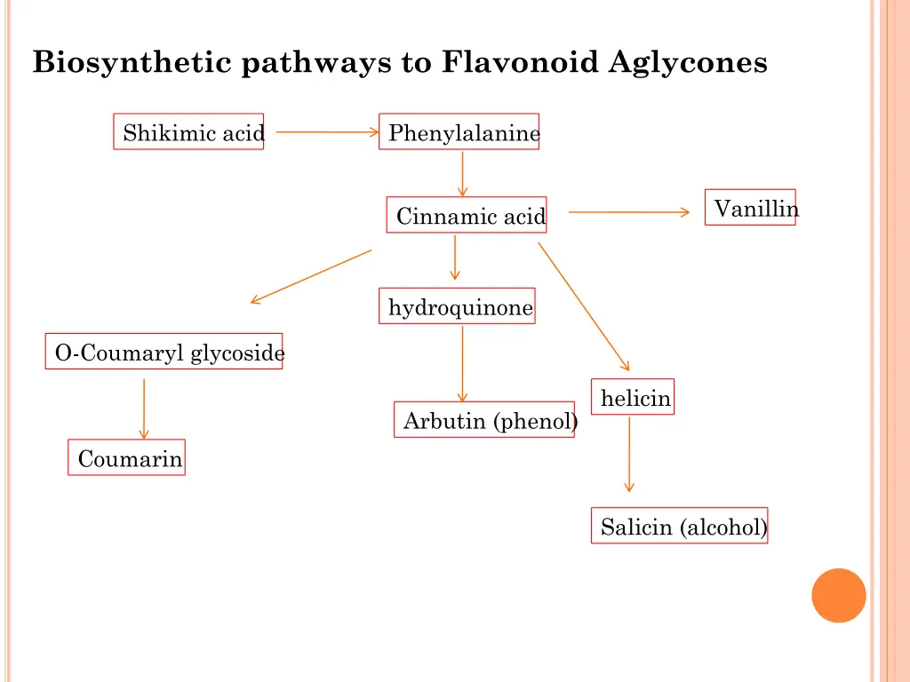 biosynthetic pathways to flavonoid aglycones 1