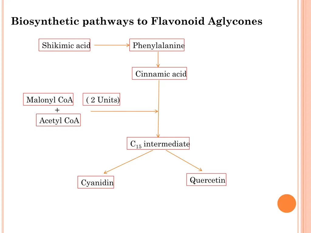 biosynthetic pathways to flavonoid aglycones