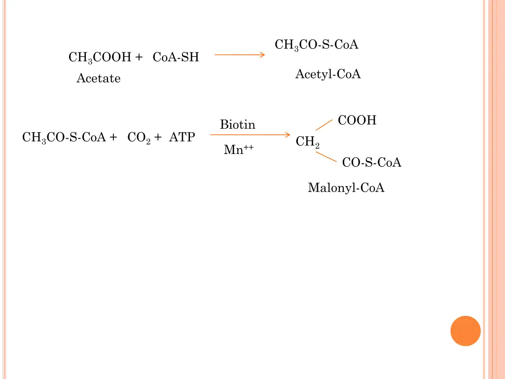 ch 3 co s coa