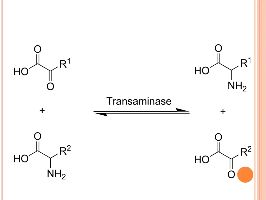 slide19