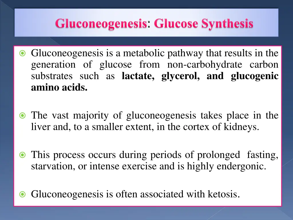 gluconeogenesis glucose synthesis