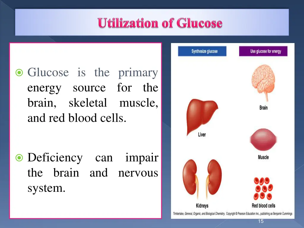 glucose is the primary energy source