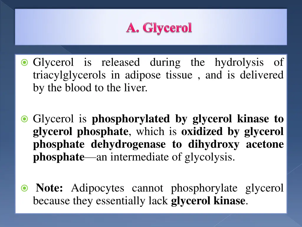 glycerol is released during the hydrolysis