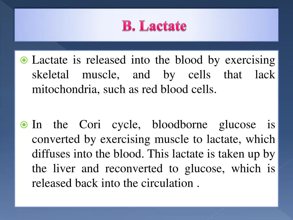 lactate is released into the blood by exercising