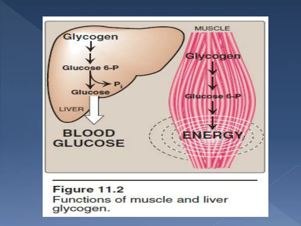 slide6