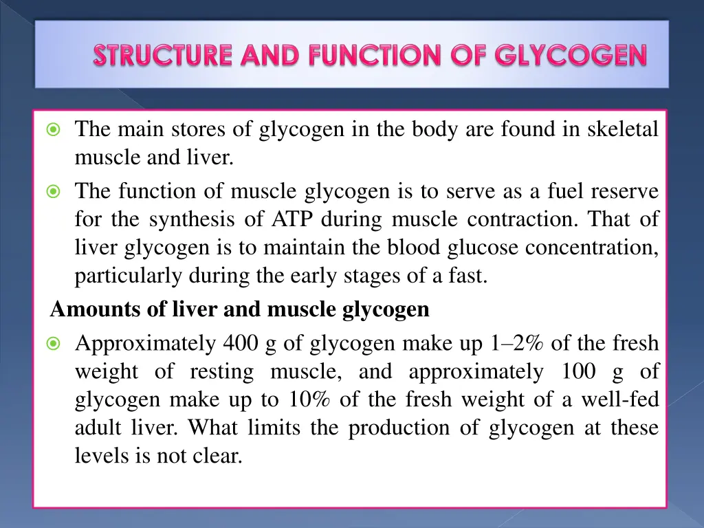 the main stores of glycogen in the body are found