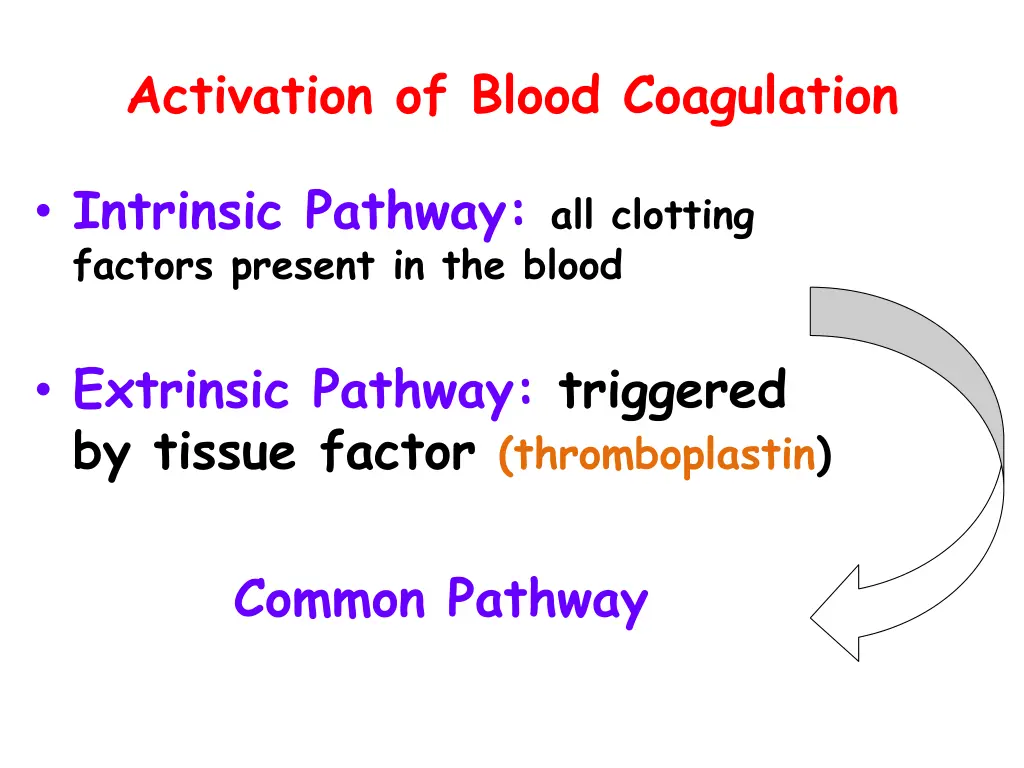 activation of blood coagulation