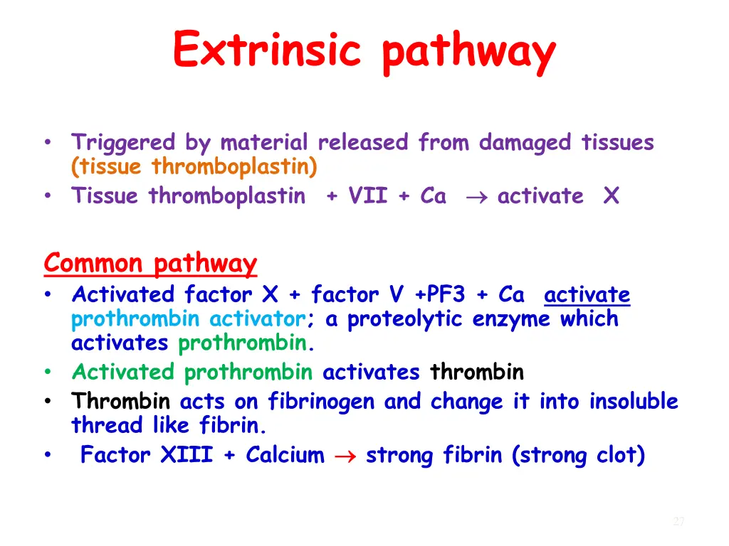 extrinsic pathway