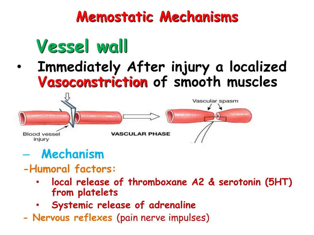 memostatic mechanisms vessel wall immediately